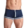 Image de Boxer Marin