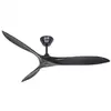 Image de Ventilateur de plafond CasaFan Eco Airscrew DC 152 cm télécommande noir mat
