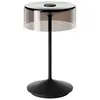 Image de Lampes en verre à batterie Sigor Numotion 160x160x265 mm