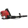 Image de Souffleur Aspirateur Scheppach LB5200BP 1400W