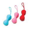 Image de Kit 3 Boules de Geisha Power Balls