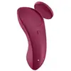 Image de Satisfyer Sexy Secret avec application