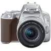 Image de Canon 250D 24MP WiFi Argent + Objectif EF-S 18-55mm F4-5.6 IS STM