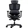 Image de Chaise de jeu Cougar Argo One noire