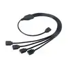 Image de Câble d'extension LED RGB Akasa AK-CBLD04-50BK 50 cm noir, 5 broches
