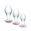 Image de Kit 3 Bijoux Intimes Heart Jewel Glass Training