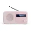 Image de Sharp DR-P420 Portable Numérique Rose