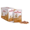 Image de Royal Canin sachet fraicheur Intense Beauty