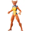 Image de Figurine Hasbro Marvel Legends Series Wolfsbane 15 cm