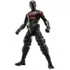 Image de Figurine Hasbro Marvel Legends Gamerverse Miles Morales Brooklyn 2099 articulée