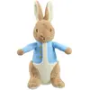 Image de Peluche Rainbow Designs Peter Rabbit 13x12x24 cm