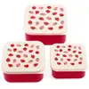 Image de Lunch box Strawberry Rex London (x3) TU