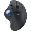 Image de Souris sans fil Logitech Ergo M575S noire