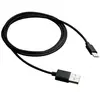 Image de Canyon CNE-USBC1B Câble USB-C vers USB Mâle/Mâle 1 m Noir