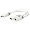 Image de Adaptateur de câble vidéo Nedis CCBW64922WT01 USB-C vers USB-C et Jack 3,5 mm 0,1 m blanc