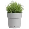 Image de Jardinière Artevasi Capri Large 30 cm Autonome Gris Clair Réservoir Eau