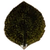 Image de Assiette feuille d'hortensia Costa Nova Riviera (x6) 21,8x19,1x3,3cm