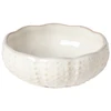 Image de Bol oursin Costa Nova Aparte (x6) 12,4x4,9 cm/0,15 L