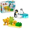 Image de LEGO DUPLO Familias De Animales Salvajes 10442 10 pièces