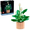 Image de LEGO Botanicals Fleur De Lune 11504 1 pièce