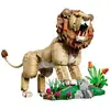 Image de Kit de construction LEGO Creator 3-en-1 31386 Lion Majestueux 839 pièces