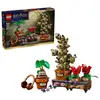 Image de LEGO Harry Potter Hogwarts : Plantes d'Herbologie 76474 817 pièces