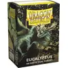 Image de Jeux de carte Arcane Tinmen Dragon Shield 100 Matte Dual Sleeves 10x8x2 cm