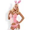 Image de Déguisement de Lapine Rose