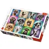 Image de Puzzle Trefl 10462 1000 pièces Animaux Chien