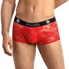 Image de Boxer Brave