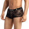 Image de Boxer Romance