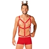 Image de Mr Reindy Costume