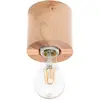 Image de Plafonnier Sollux Lighting Salgado TU