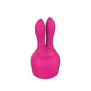 Image de Tête Bunny pour Electro et Rock