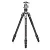 Image de Trépied Benro FRHN14CVX20 Carbone 3 Sections 16 kg 165,5 cm Rotule Ball