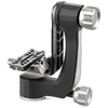 Image de BENRO Rotule pendulaire GH2N