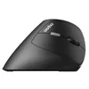 Image de Ratón Rapoo EV250 RF sans fil 1600 DPI Noir Argent droitier