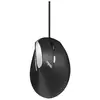 Image de Souris Rapoo EV200 USB 1600 DPI Noir Argent Droitière Câble