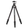 Image de LEOFOTO Trépied PH-224C+ Rotule LH-25