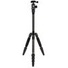 Image de Trépied Sirui Traveler 5C Carbone avec Rotule 3T-35 Noir