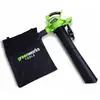 Image de Souffleur/aspirateur à feuilles Greenworks GD40BV