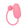 Image de Boule Intelligente Kegel Coach