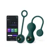 Image de Boules de Geisha Connectée Crystal Duo Set