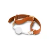 Image de Coffret Baillon Boule ou Mors Carré Cuir Brun et Métal