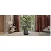 Image de Aspirateur avec Sac Electrolux EB61C2GRN 850W Filtre HEPA 3,5L Accessoires Turbo