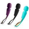 Image de Stimulateur Smart Wand 2 Large