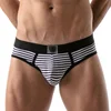 Image de Brief Stripes Push-Up Bottomless