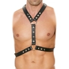Image de Harnais Metal Spots
