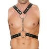 Image de Harnais Metal Bit