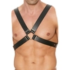 Image de Harnais Buckle
